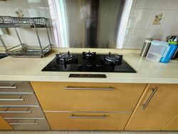Blk 201C Punggol Field (Punggol), HDB 5 Rooms #623190601
